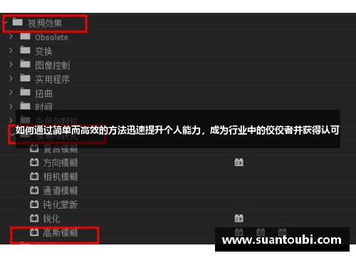 如何通过简单而高效的方法迅速提升个人能力，成为行业中的佼佼者并获得认可